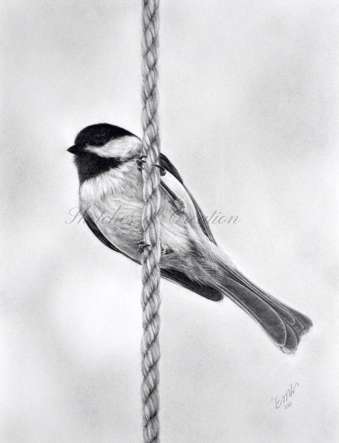 'Lookout' a drawing of a chickadee on a rope. 6x8 inches. Completed November 2020