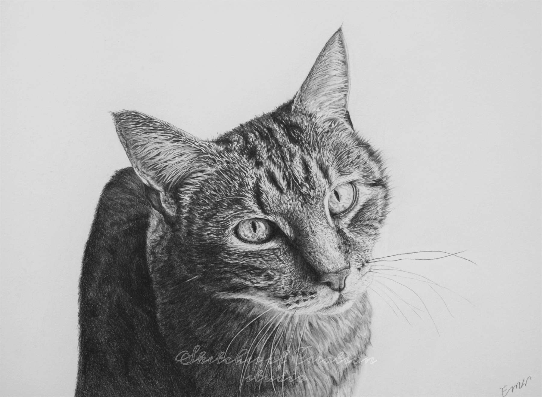 'Tiger' a drawing of a tabby cat. 9x12 inches. Completed June 2019