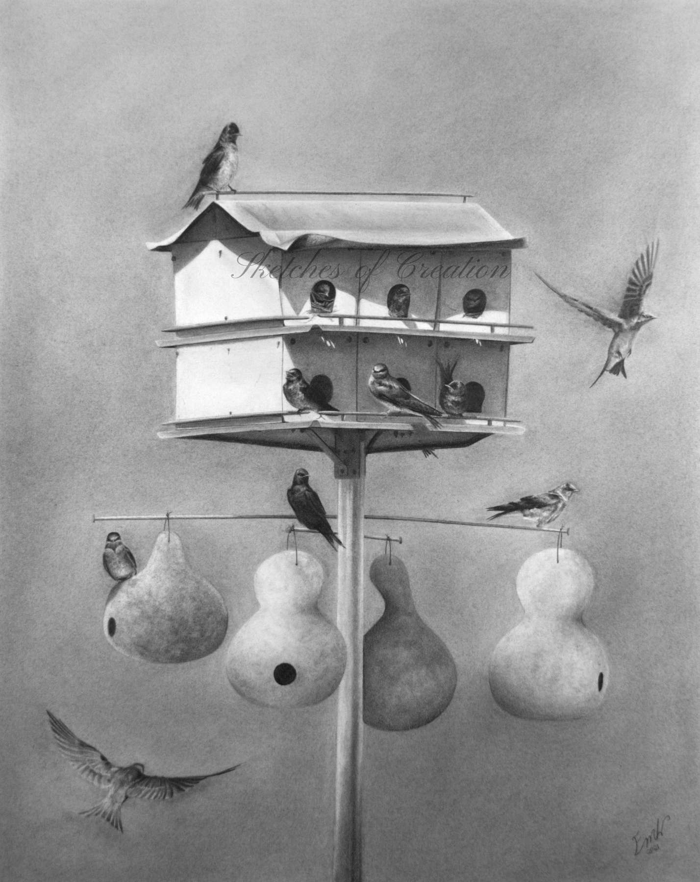 'Purple Martins' a drawing of 12 purple martins in and around a purple martin housing complex. Completed August 2021