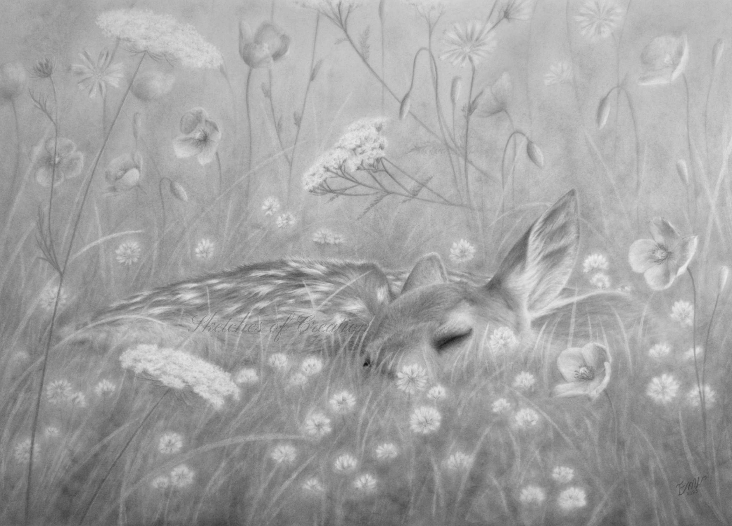 A drawing of a sleeping fawn in flowers