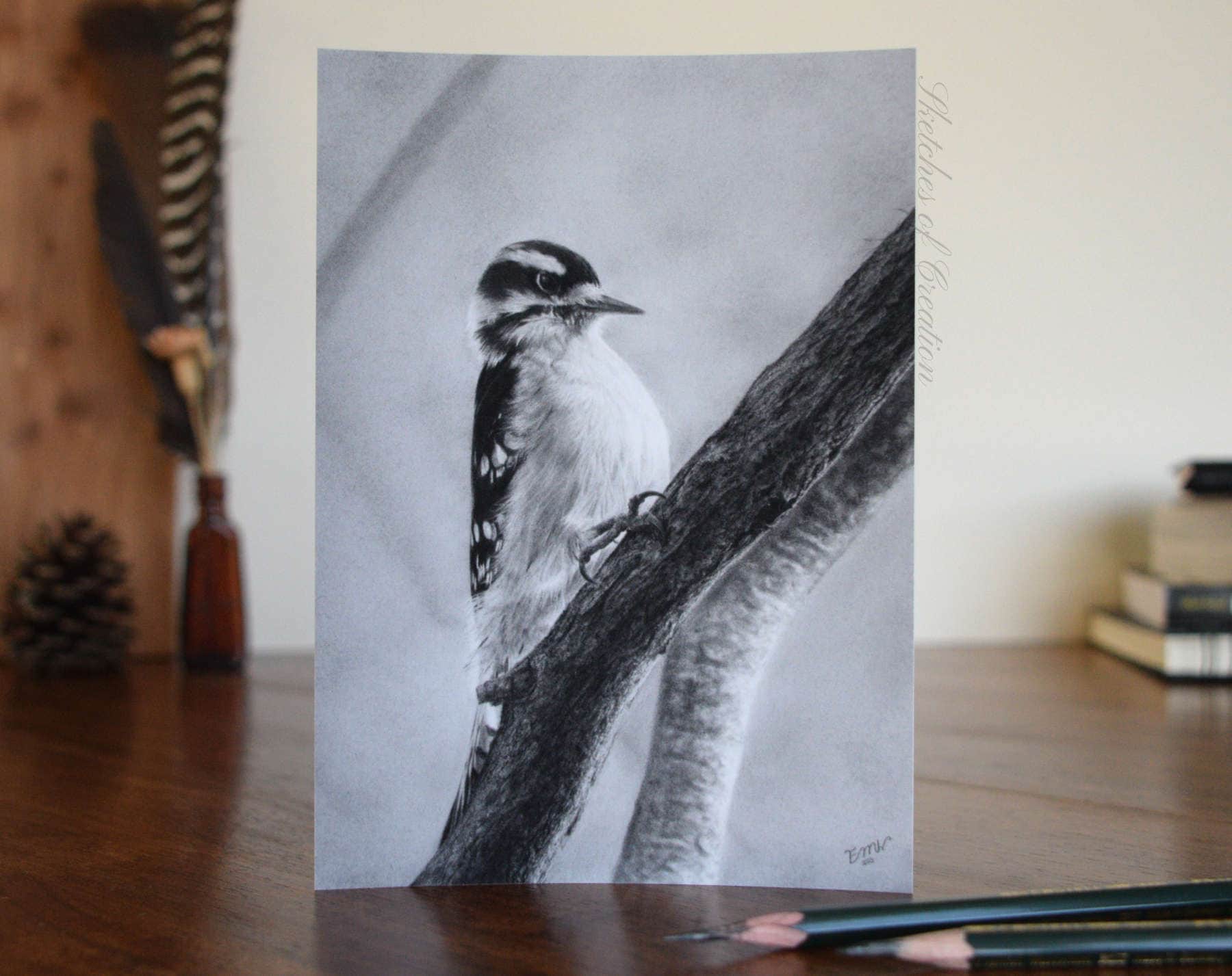 A print of a downy woodpecker