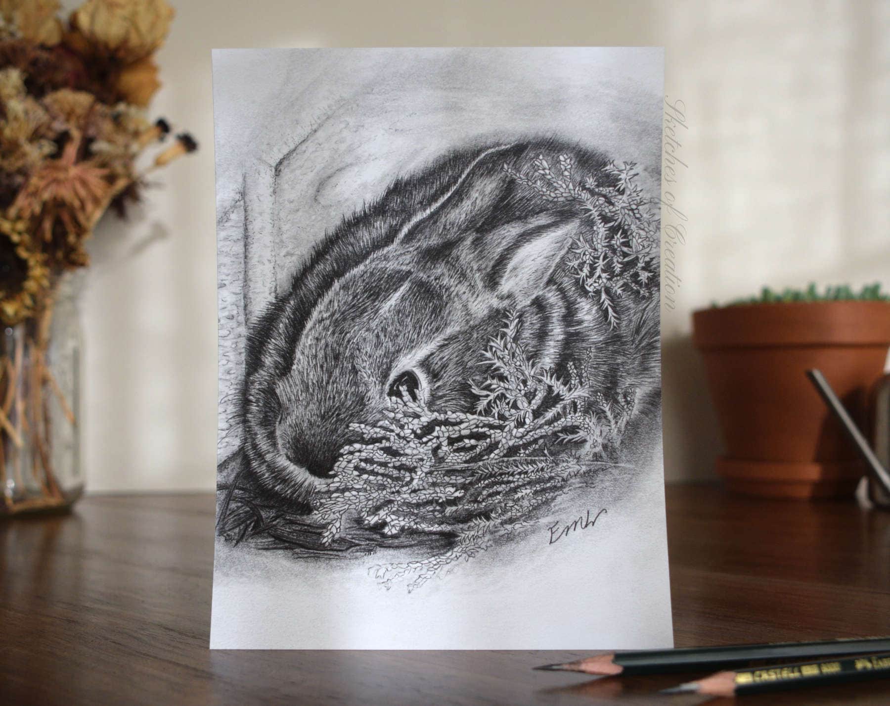 A print of a baby bunny