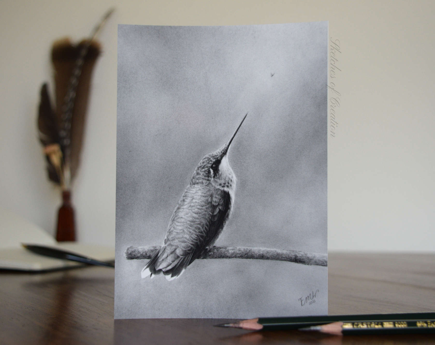 A print of a hummingbird