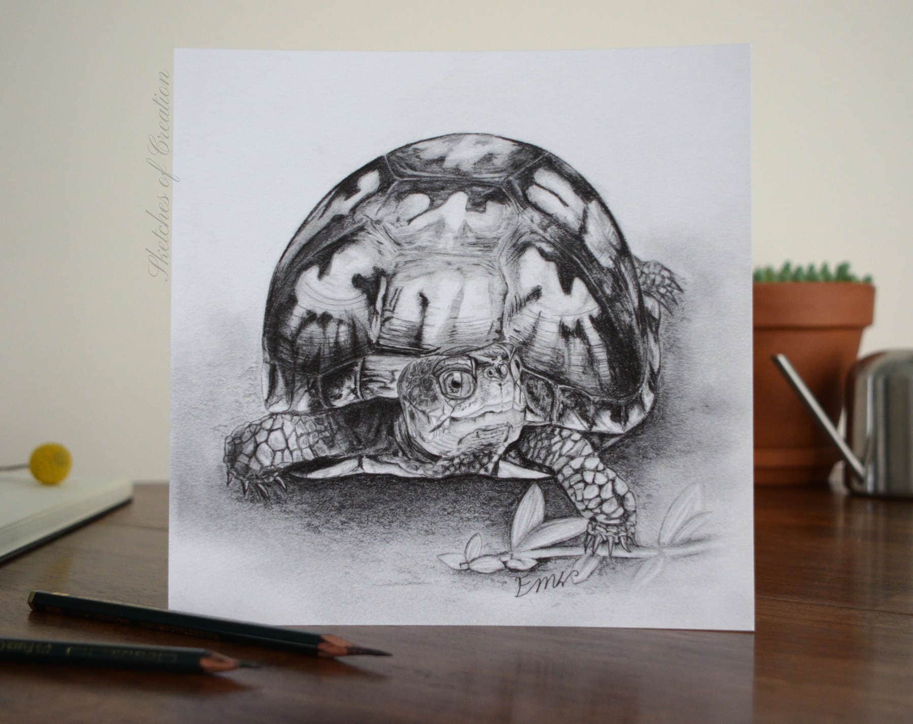 A print of a box turtle