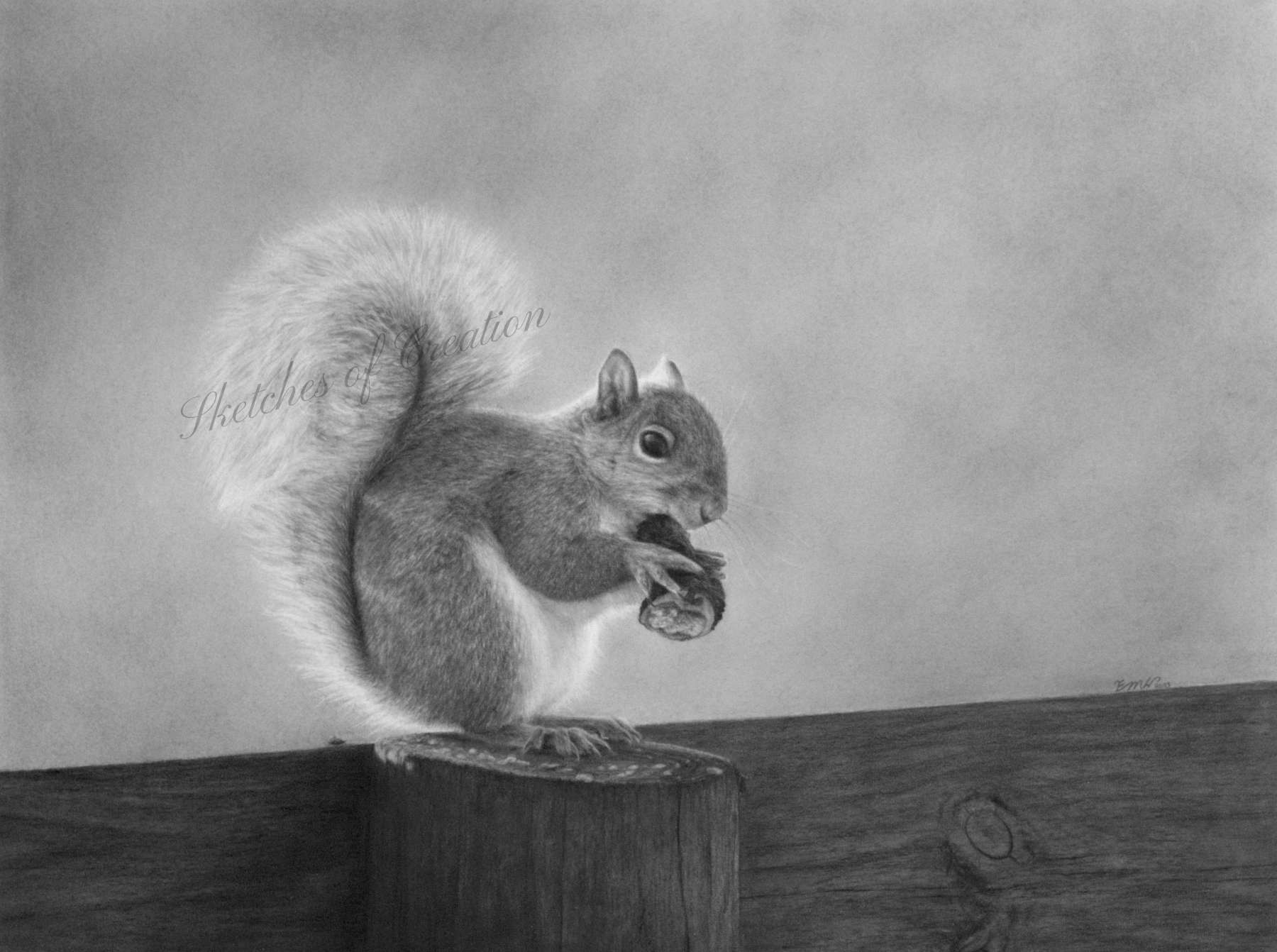 A drawing of a squirrel on a fence style=