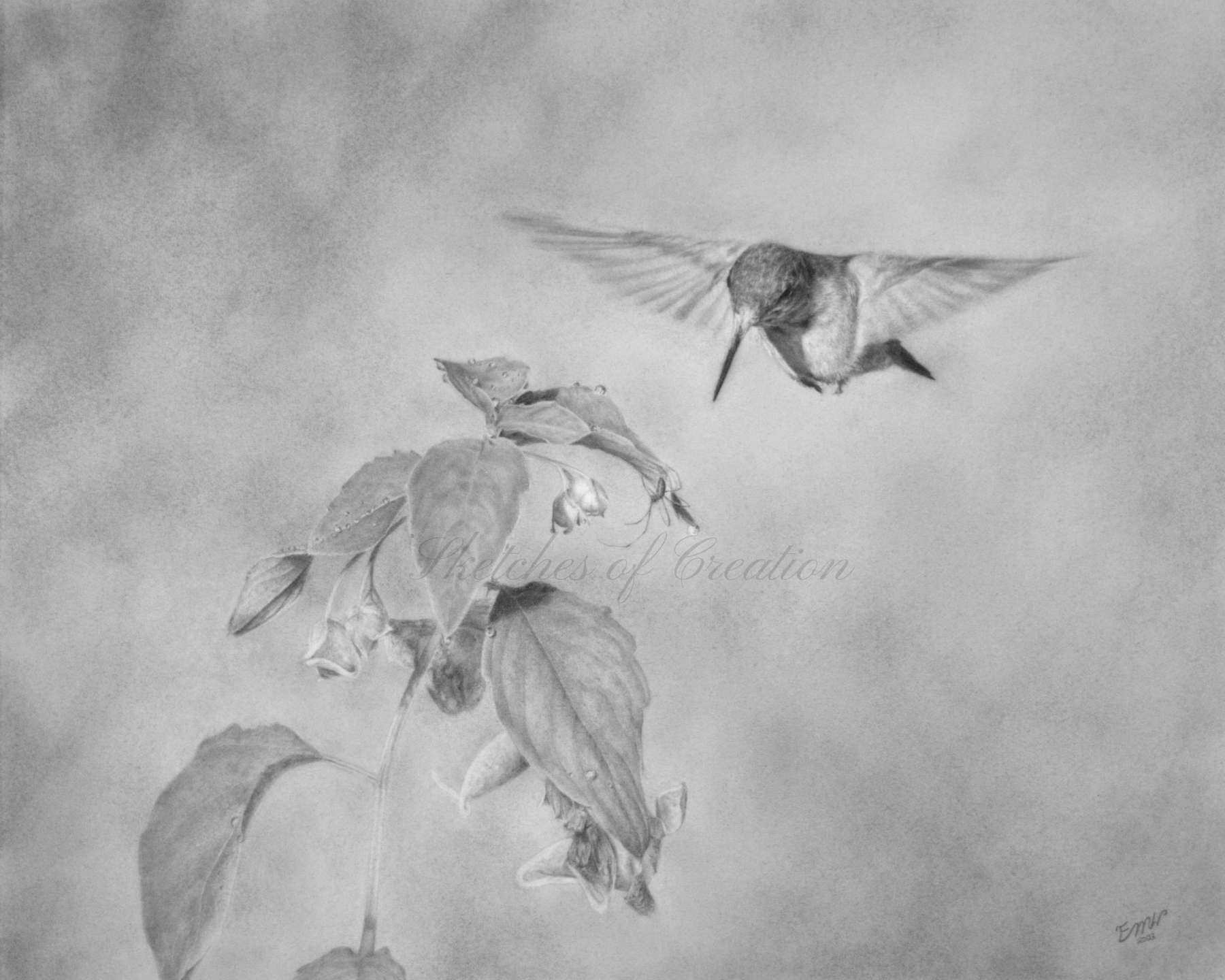 A drawing of a hummingbird looking at a spider