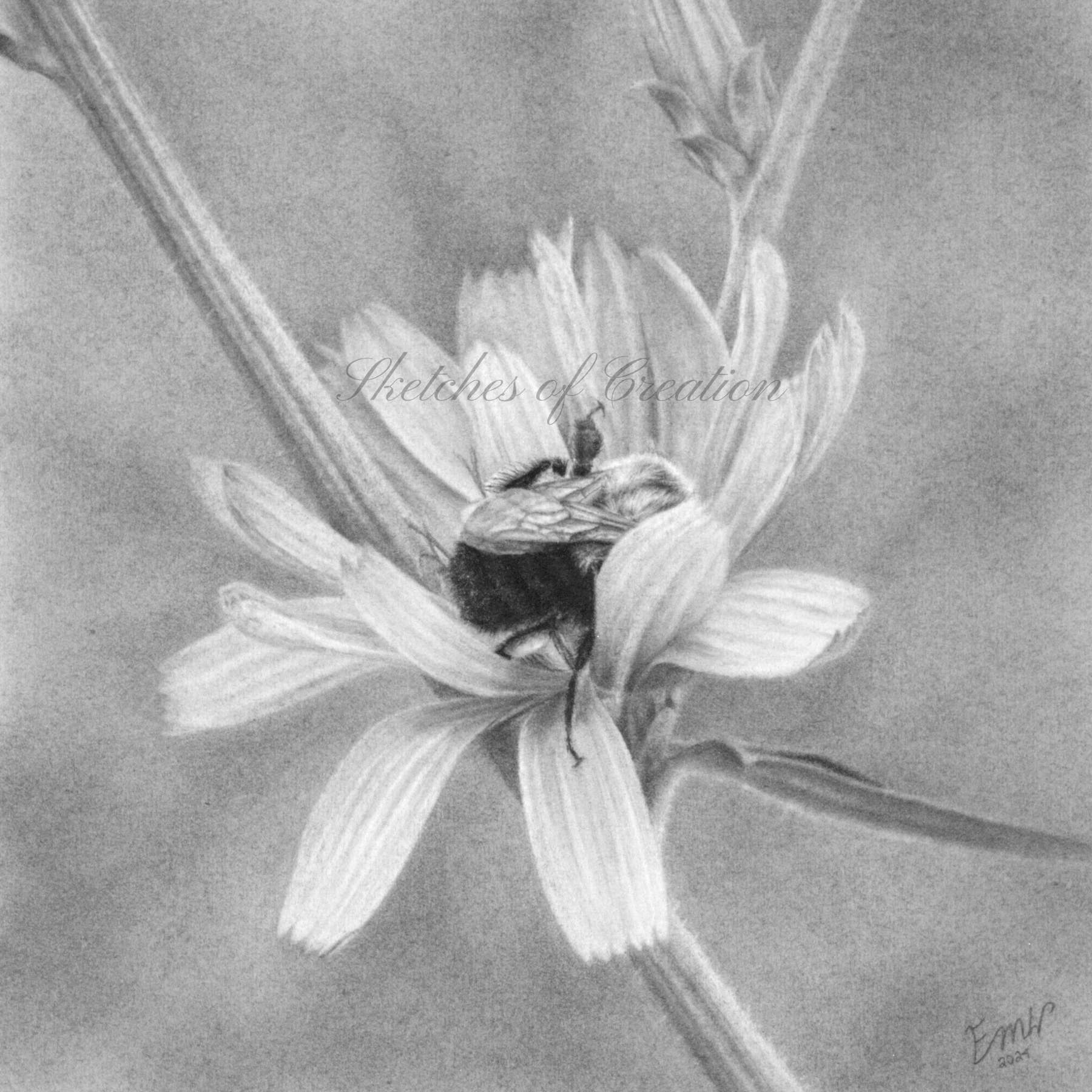 A drawing of a bee on a flower