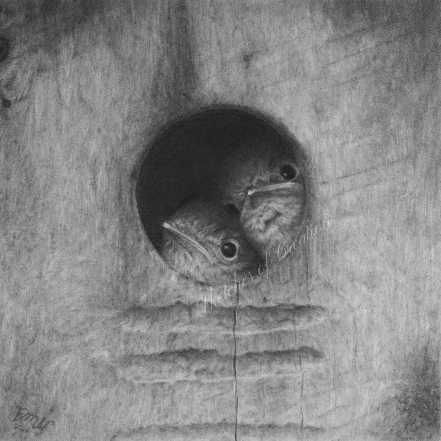 A drawing of two baby bluebirds peering out of a bluebird house